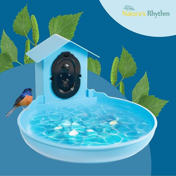 Nature’s Rhythm Smart Bird Bath Feeder Video Recorder AI Bird Identification Blu - Picture 2 of 13